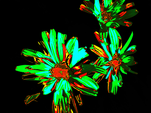 Abstract Daises on a Dark Abstract Background