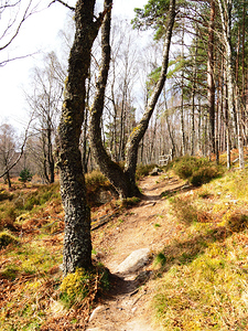 Natures Spring Caress for the Scottish Highlands                                                                                                                     