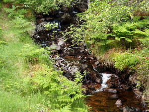 Wild Waters in the Scottish Highlands                                                                                                                     