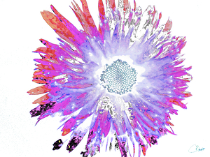 Abstract Pink Purple  and Blue Daisy 