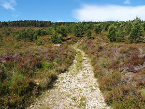 The Long Path through the Scottish Highlands                                                                                                                     