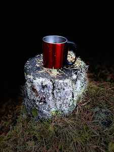 Scenes from the Trail- Mug