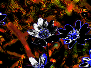  Abstract Floral Delight                                                                                                                    