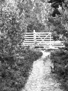   The Black and White Gate                                                                                                                   
