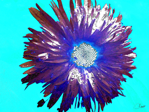 Abstract Purple and Blue Daisy