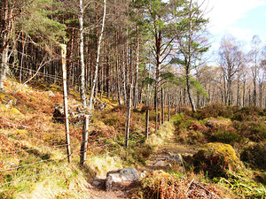 Scottish Highlands Spring Ramble                                                                                                                   