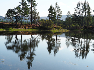 Reflections in the Scottish Highlands                                                                                                                      