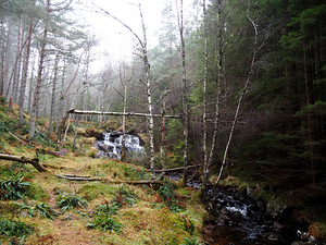  Scottish Highlands Autumnal Waterfall                                                                                                                    