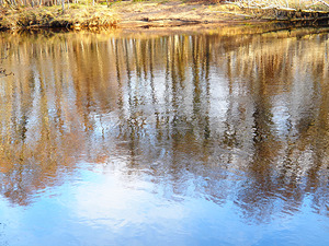 River Speys Spring Reflections                                                                                                                 