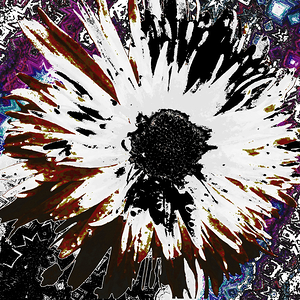 Abstract Striking Daisy