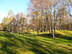 Spring Serenity in the Scottish Highlands                                                                                                                     