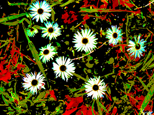 Abstract Vibrant Daisy Spectrum                                                                                                                     
