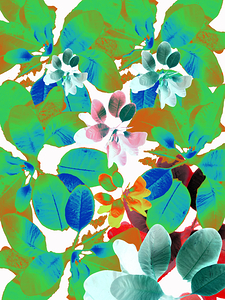 Abstract Botanical Leaves