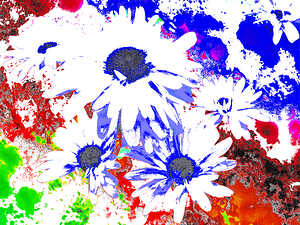 Abstract Daises on a Coloured Splatter Background
