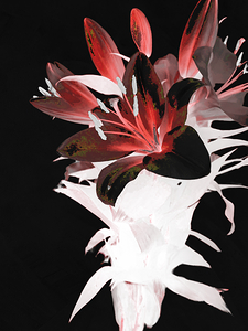 Abstract Lily Vase Bouquet