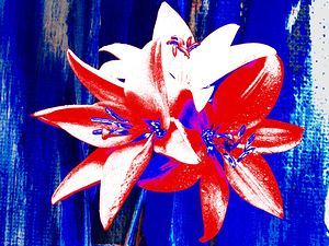  Abstract Bright Red Distressed Trio of Lilies