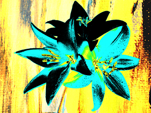  Abstract Darker  Distressed Trio of Lilies