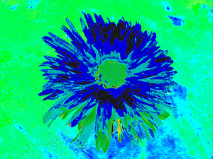 Abstract Vibrant Green and Blue Daisy Flower