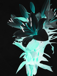 Abstract Neon Lilies