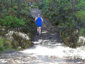   Trail Runner in the Scottish Highlands                                                                                                                    