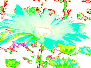 Abstract Colourful Psychedelic Daises