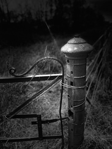 Scenes from the Trail- The Gate