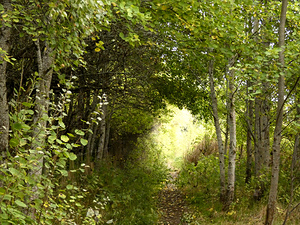 Scottish Highlands Summer Trail