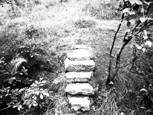 Take a Step Up in Monochrome