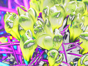 Abstract Crocus Dream                                                                                                                      