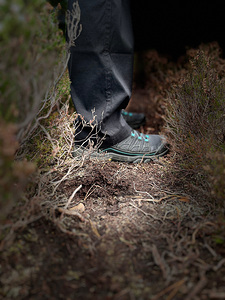 Scenes from the Trail-Standing