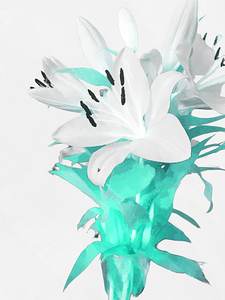 Abstract White Lilies