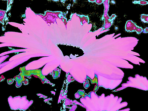 Abstract Surreal Neon Daises 