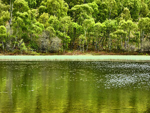 Summer Lochan in the Scottish Highlands