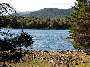 Loch Vaas Mountain Scene                                                                                                                     