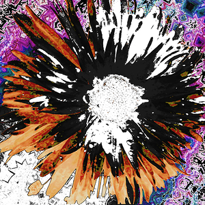 Abstract Dynamic Daisy Flower
