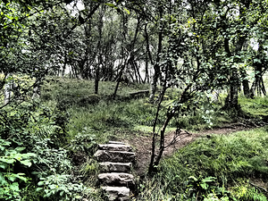  A Step Higher through the Scottish Highlands                                                                                                                    