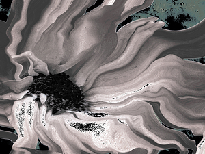 Abstract Monochromatic Flowing Daisy Flower