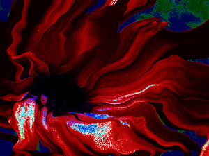 Abstract Red Flowing Daisy Flower