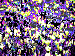 Abstract Crocus Dance                                                                                                