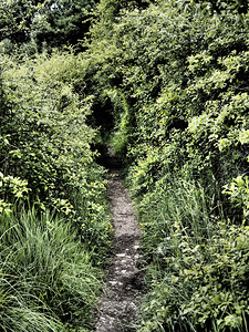 Secret Trail through the Scottish Highlands                                                                                                                     