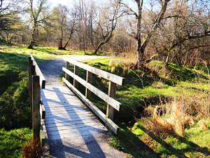  The Bridge in the Scottish Highlands                                                                                                                    