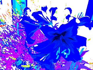 Abstract Blue Lilies                                                                                                                     