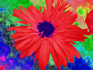 Abstract Psychedelic Daisy