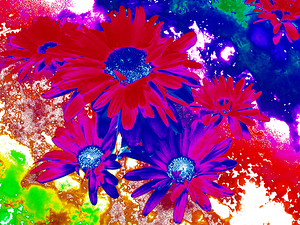 Abstract Bright Vibrant Daises 