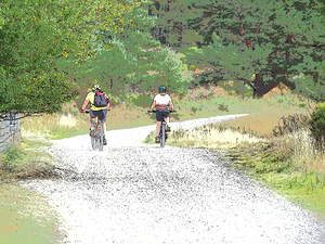  Cycling Serene Trails in the Scottish Highlands                                                                                                                   
