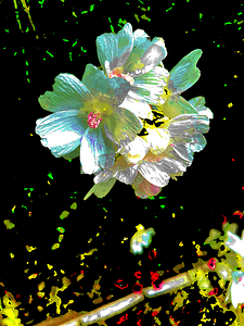 Abstract Green Marshmallow Flowers