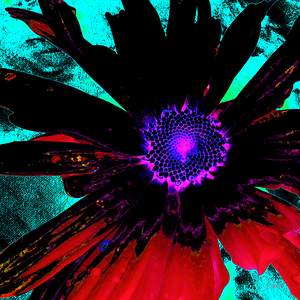 Abstract Psychedelic Floral Burst