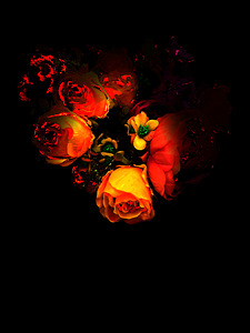 Abstract Romantic Roses