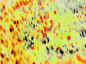 Abstract Colourful Hues