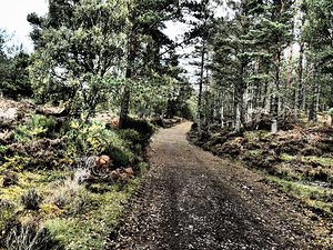  Following the Path through the Scottish Highlands                                                                                                                    